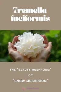 tremella mushroom benefits for skin