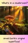 What's in a mushroom? 