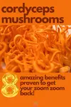 Cordyceps mushrooms 