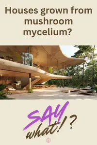 mushroom building material