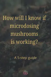 microdosing mushrooms 