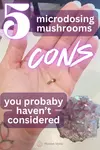 microdosing mushrooms cons