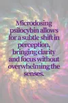 microdosing mushrooms for focus