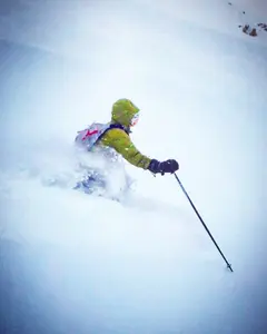 mushrooms and end of life