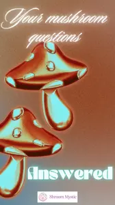 Discover the world of mushrooms with my shroom FAQ. Get expert answers to your gourmet, medicinal, and magic mushroom questions in one convenient place.