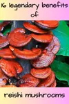 Reishi mushroom benefits