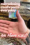 microdosing mushrooms everyday