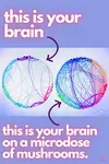 Does microdosing mushrooms give you energy? It boosts brain activity, leading to increased mental and physical energy. It offers sustained energy with no crash