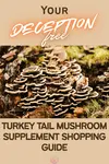 turkey tail supplement 