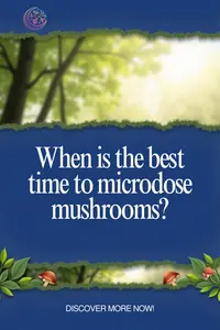 when is the best time to microdose