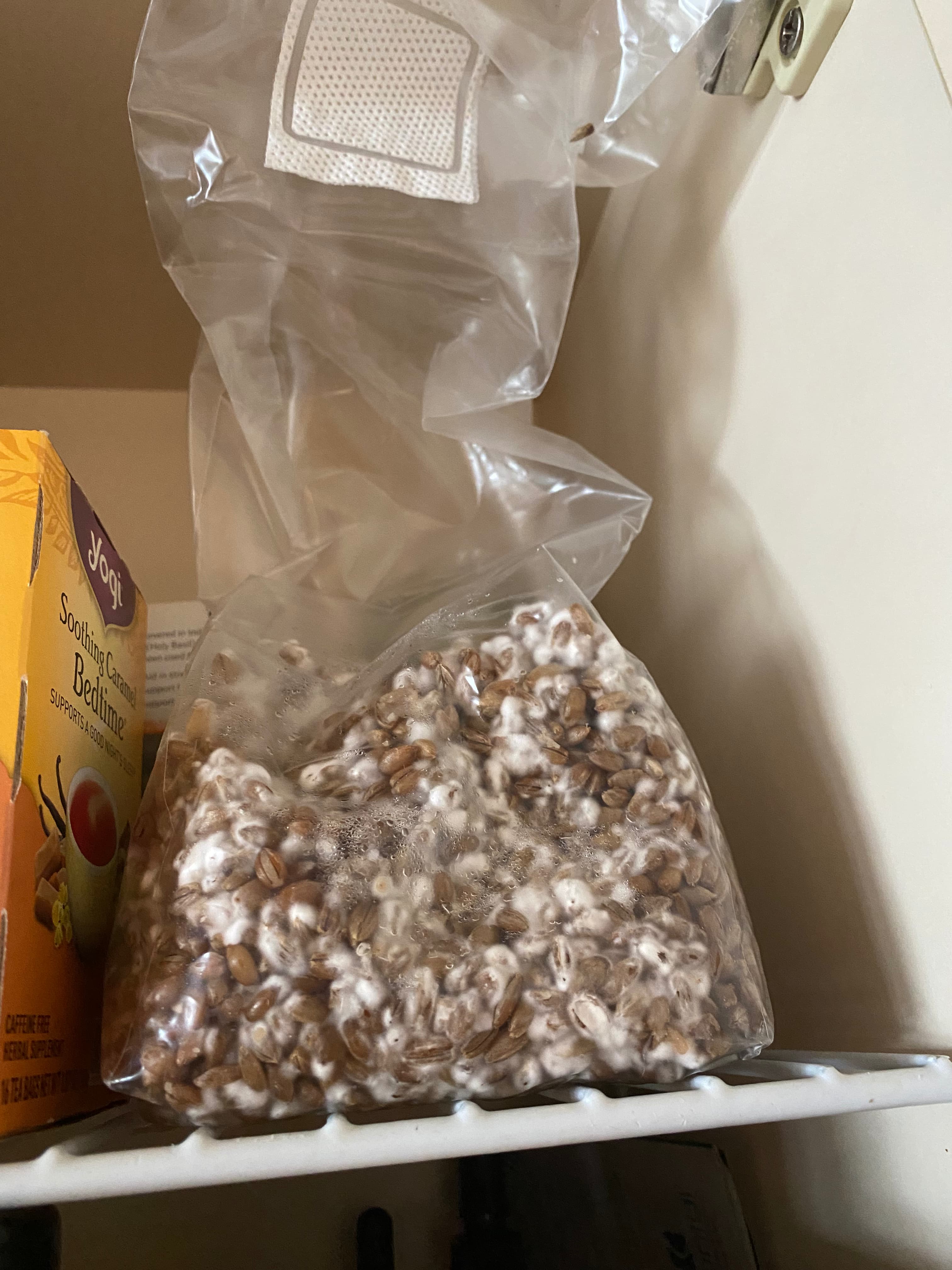 how do you grow mushrooms