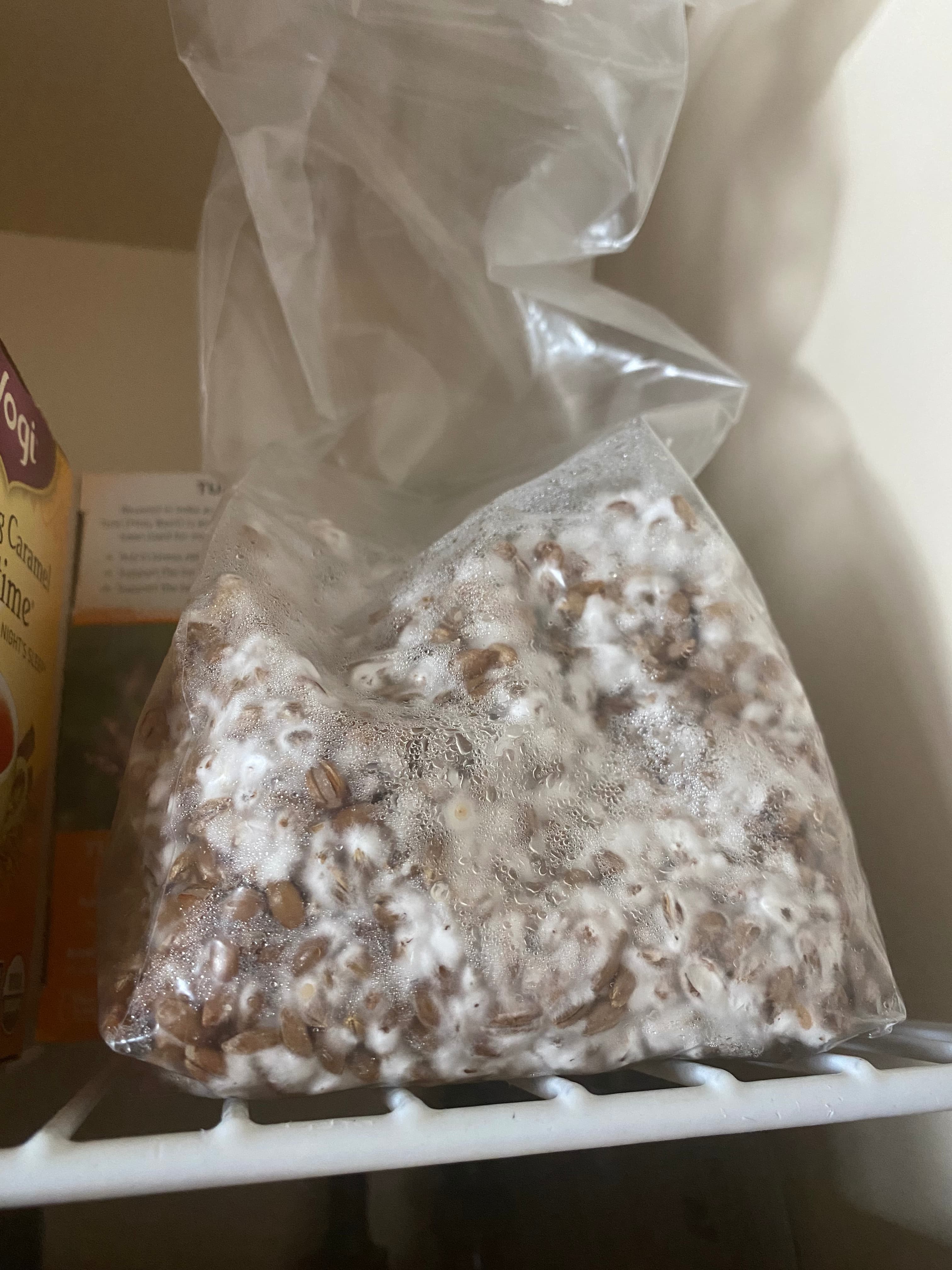 how do you grow mushrooms