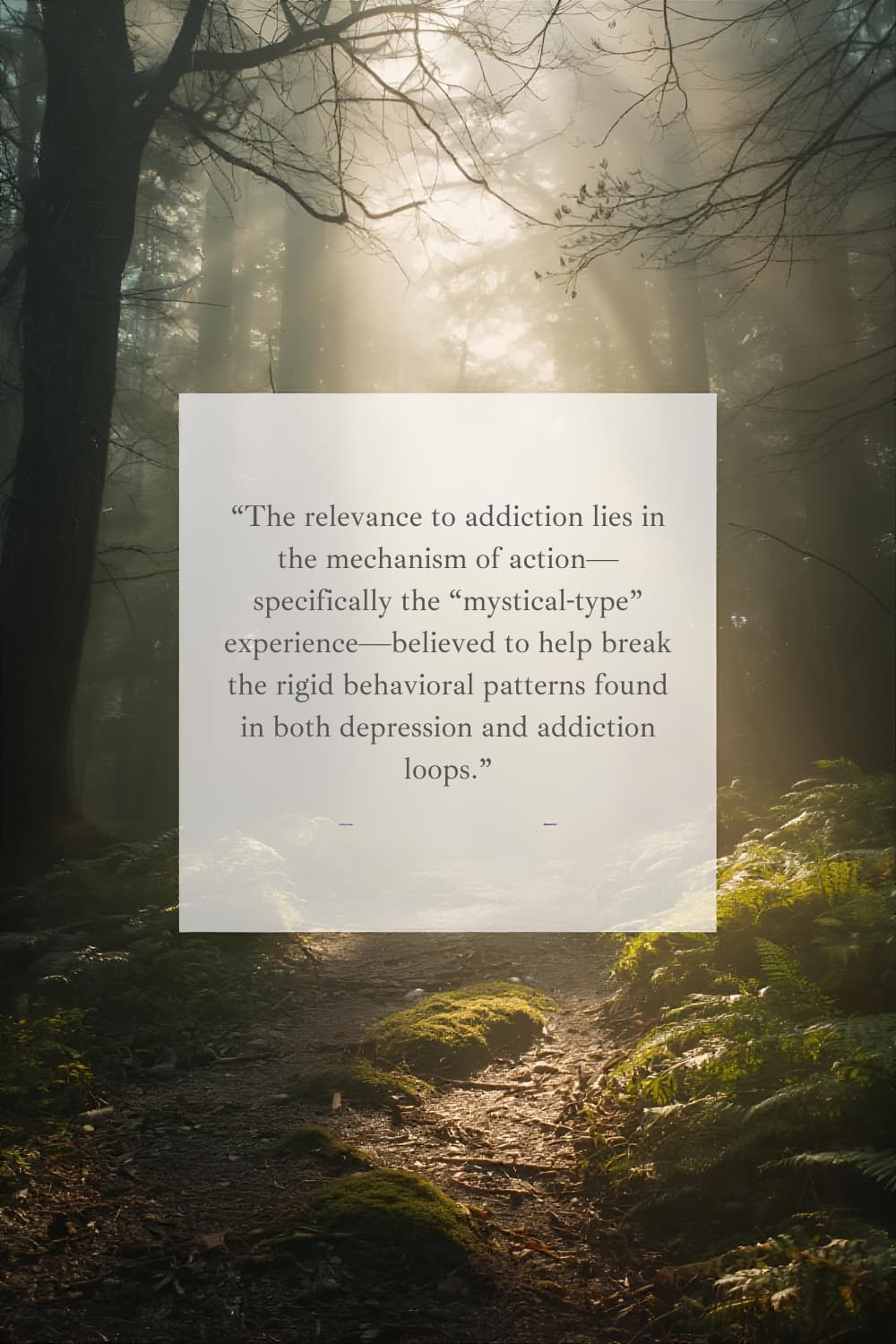 can psilocybin help with addiction can psilocybin help with addiction