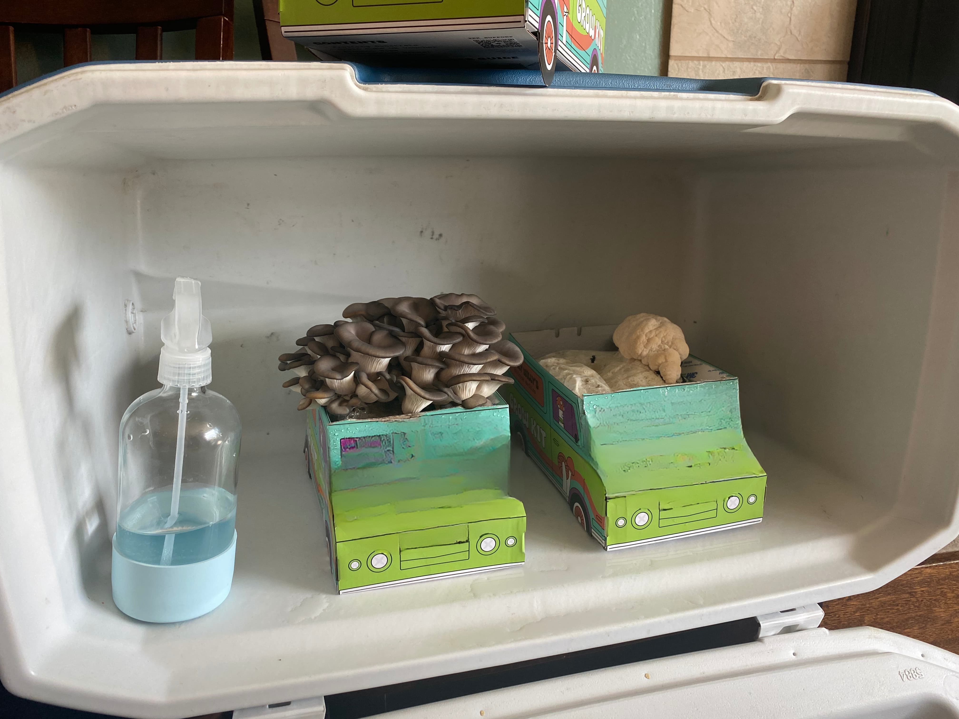 how to balance humidity and fresh air