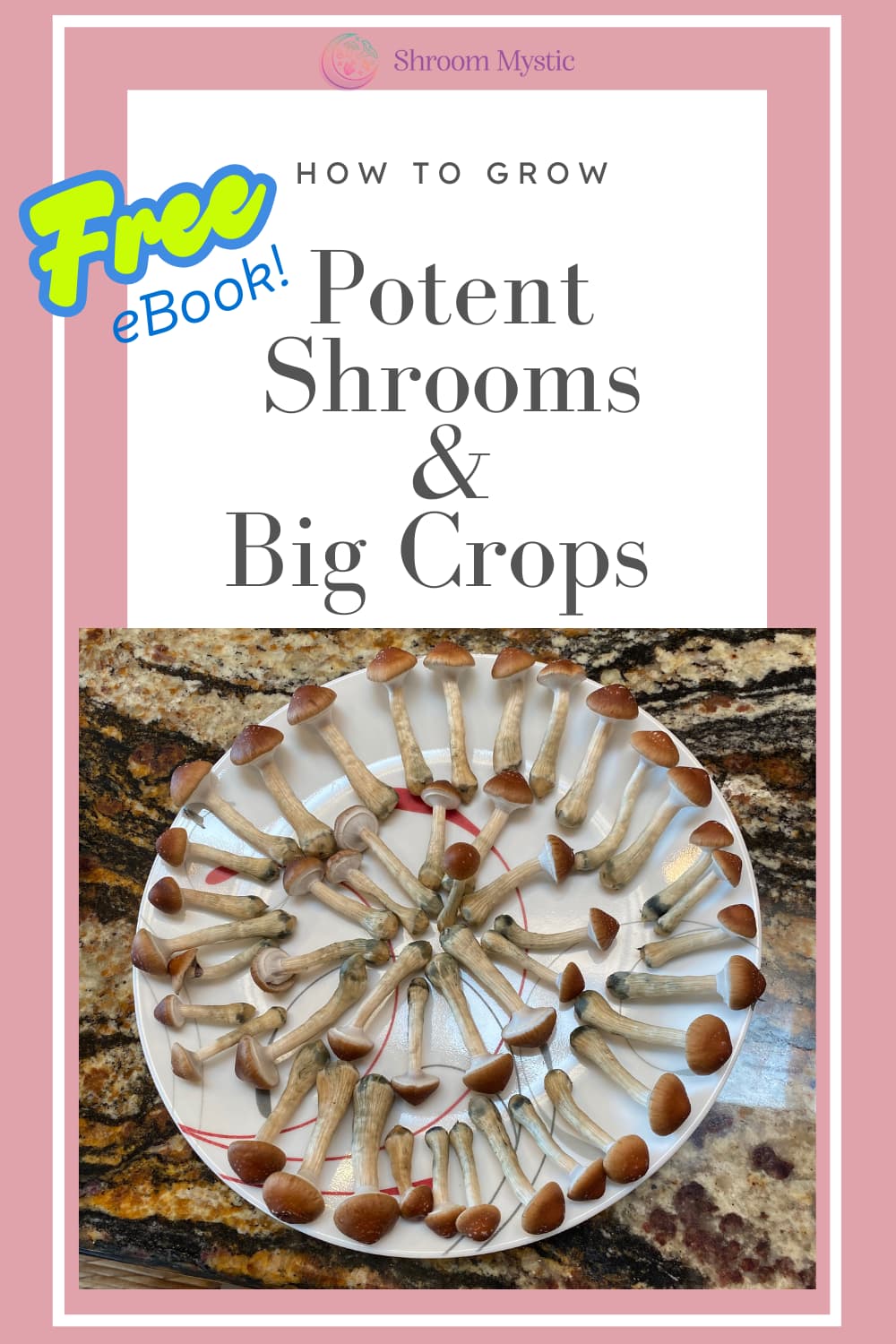 how to grow magic mushrooms how to grow magic mushrooms