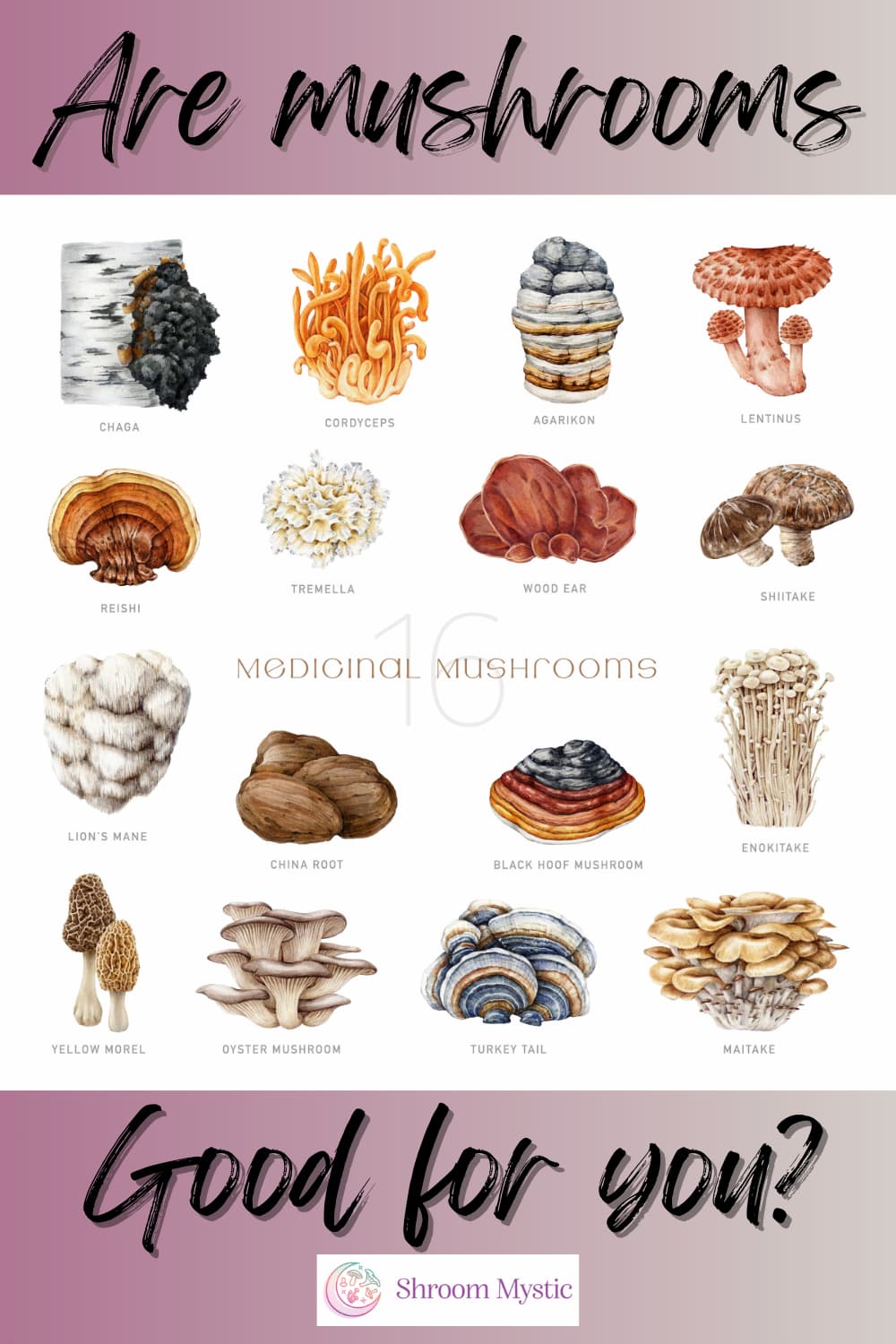 are mushrooms good for you