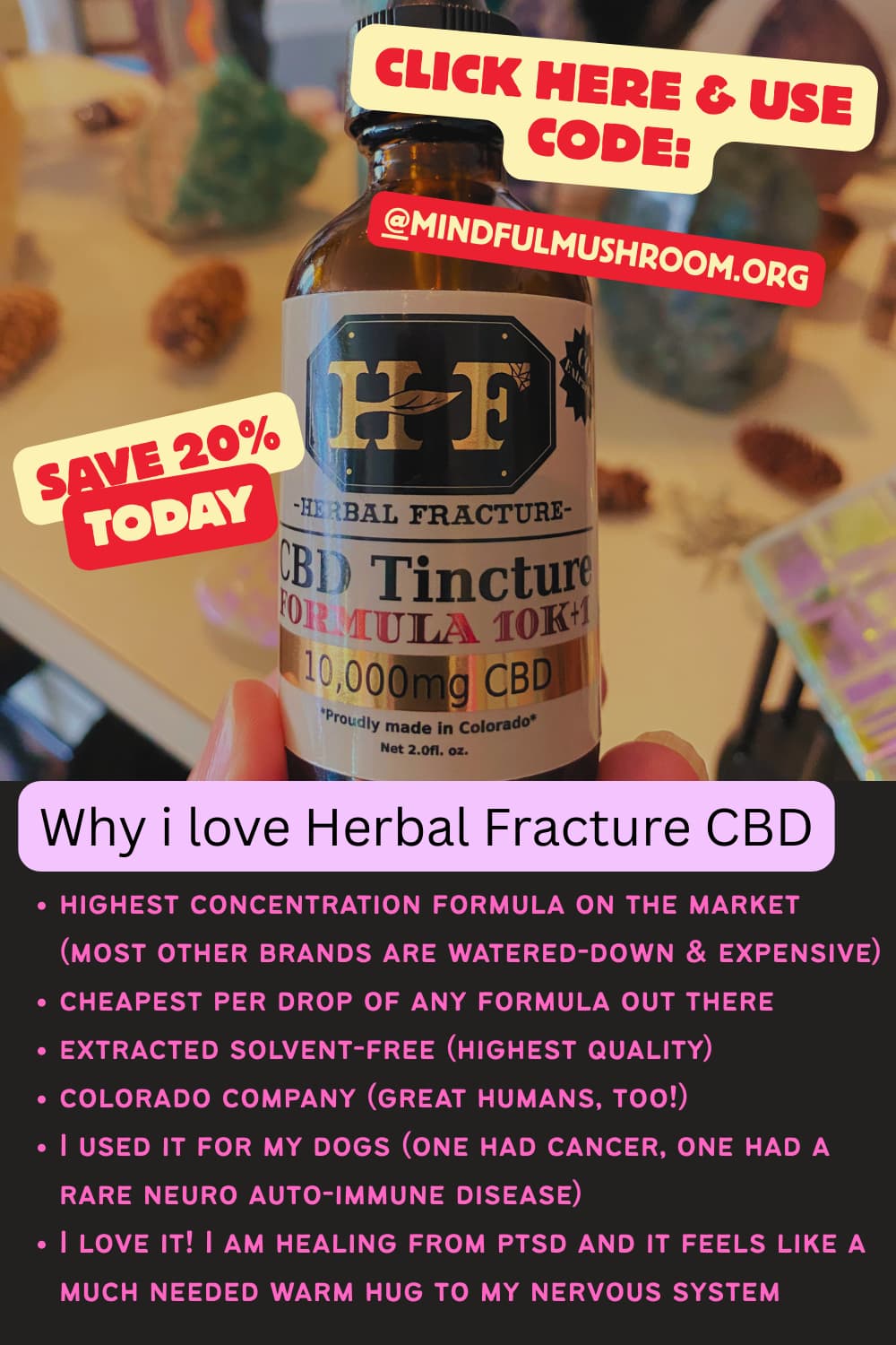 can mushrooms protect from cancer