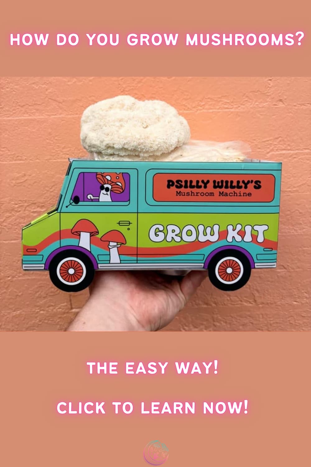 how do you grow mushrooms