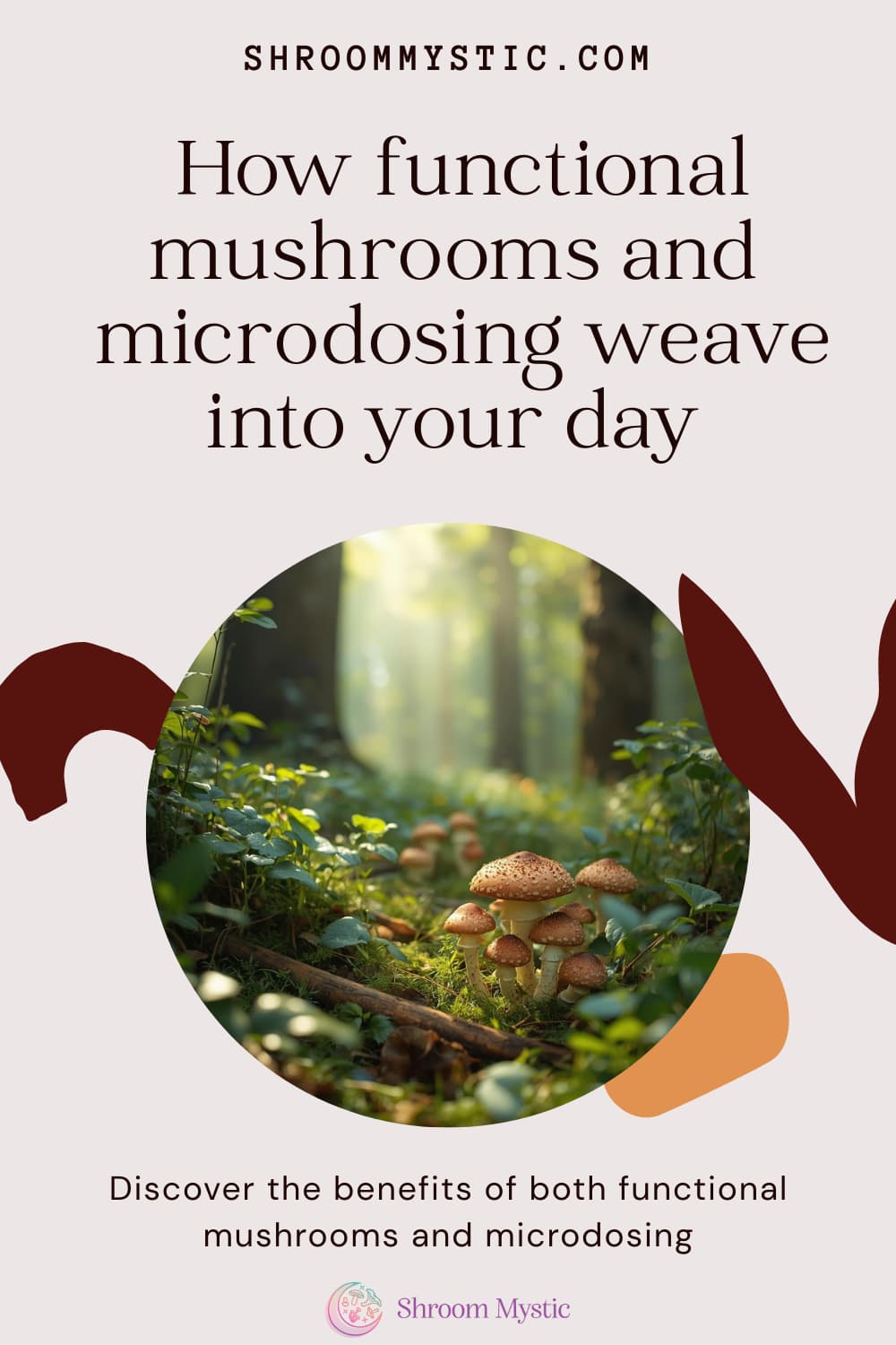 functional mushrooms vs microdosing functional mushrooms vs microdosing