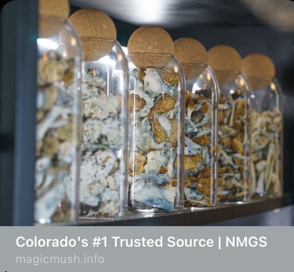 where to get magic mushrooms