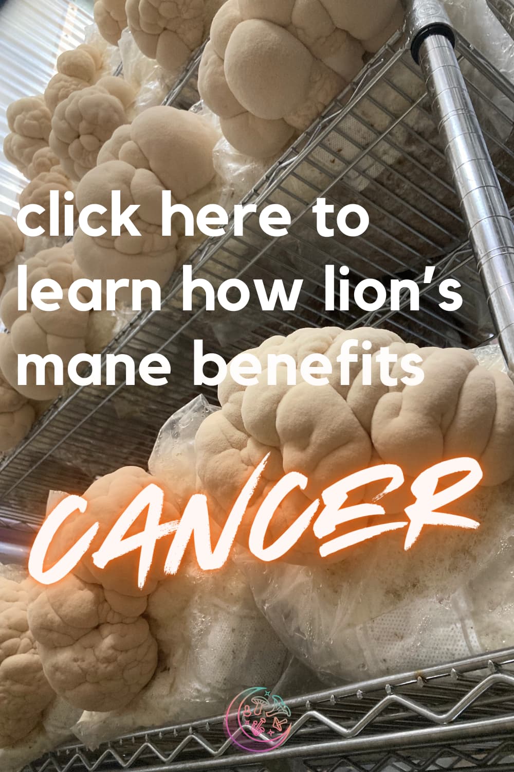 lions mane mushroom benefits