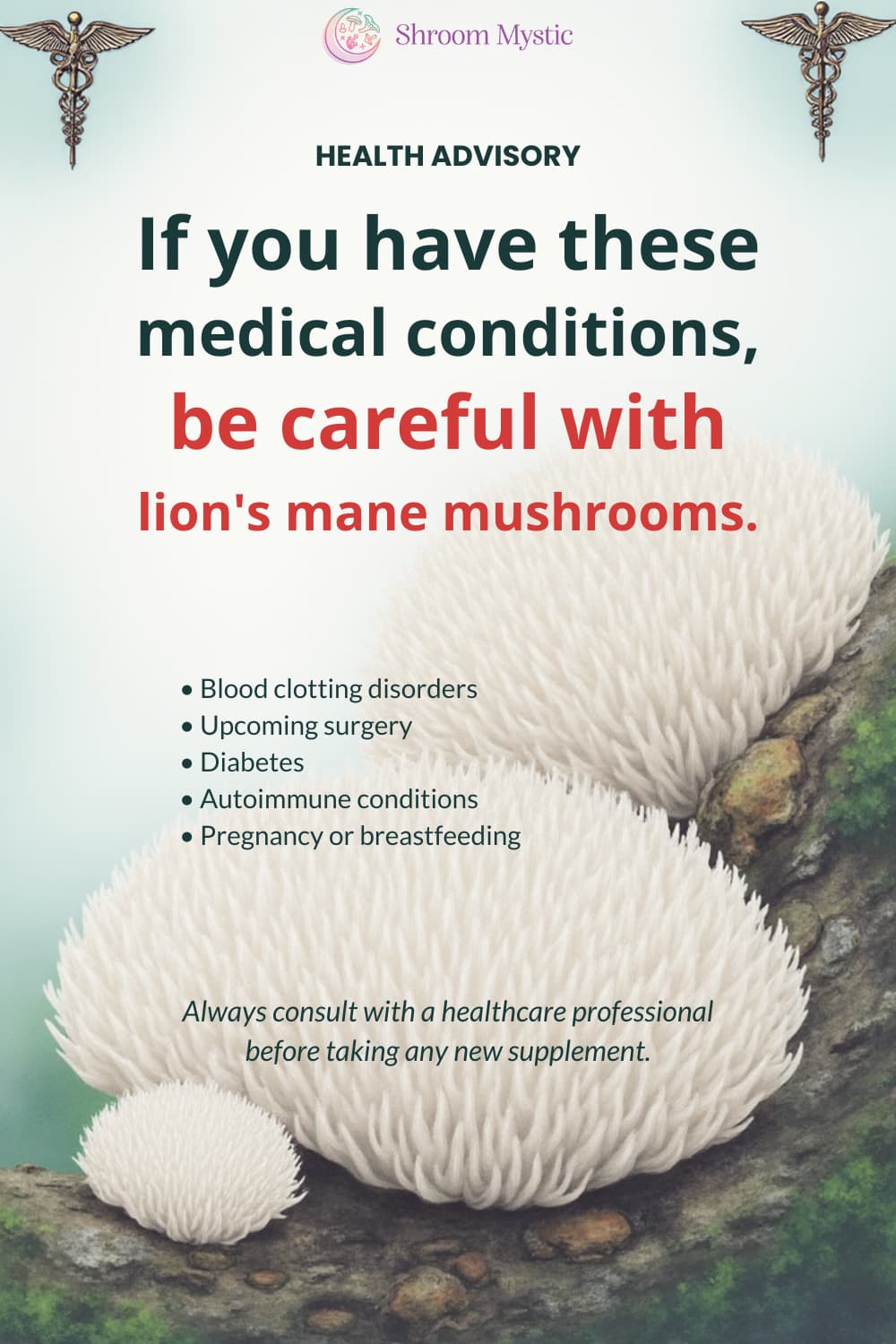 lion's mane mushrooms 