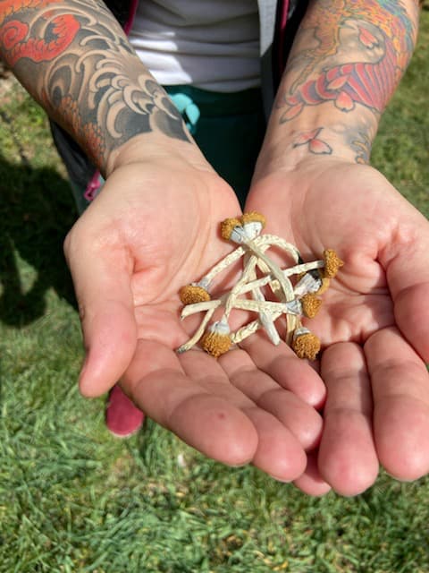 magic mushroom ritual