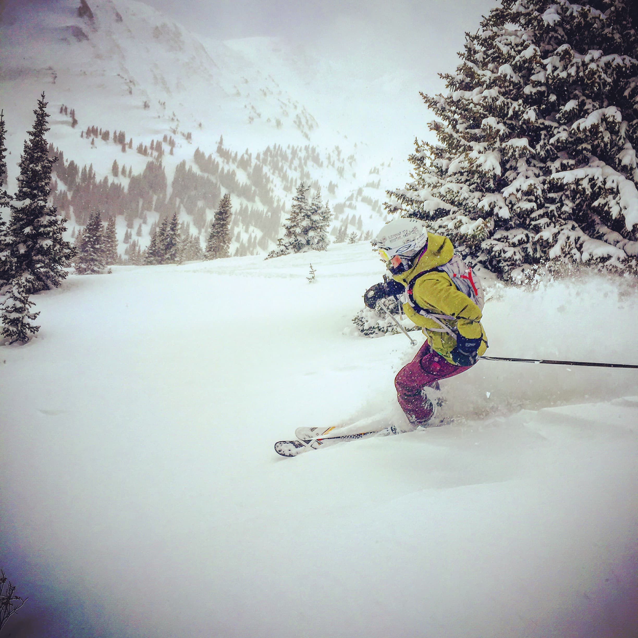 mushrooms and end of life