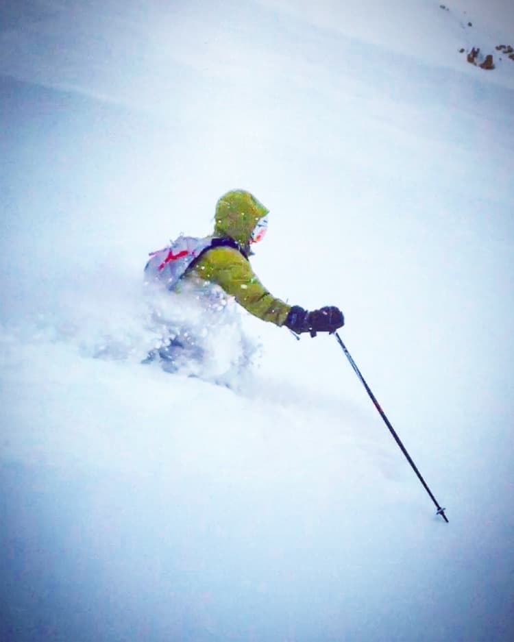 mushrooms and end of life