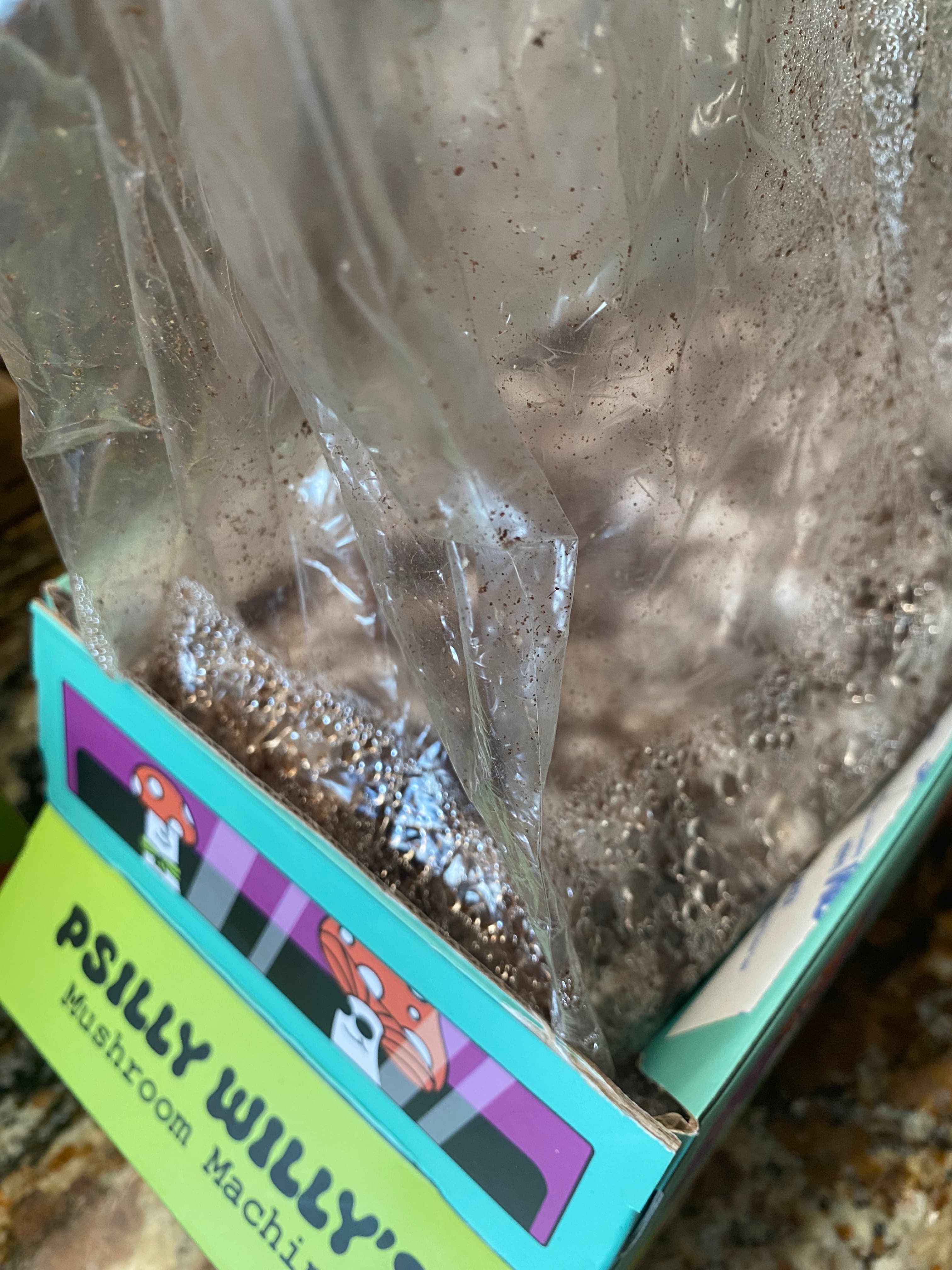 how do you grow mushrooms 