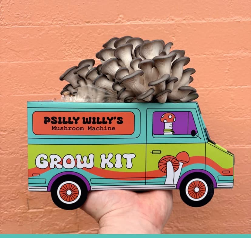 how do you grow mushrooms