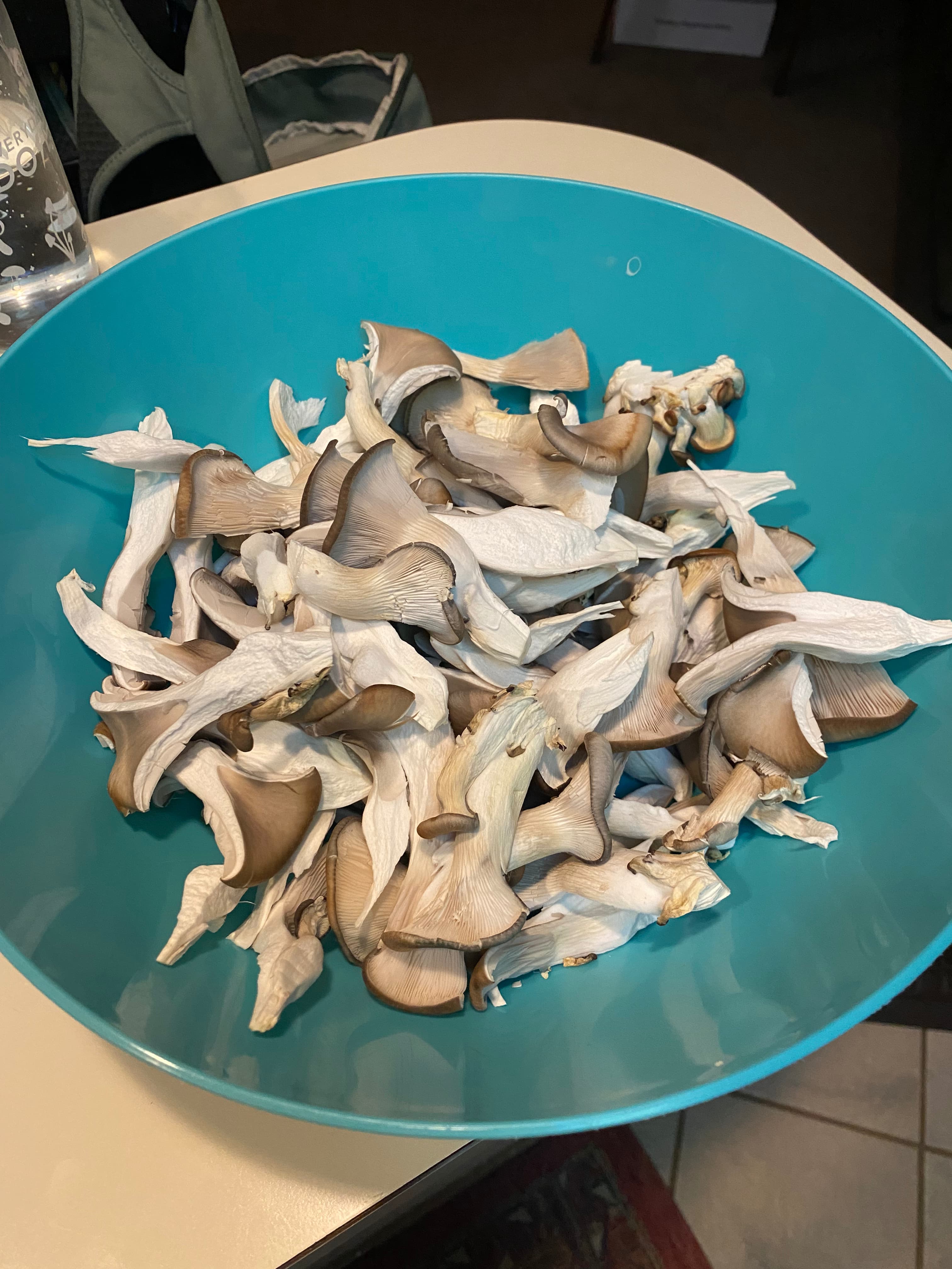 how do you grow mushrooms