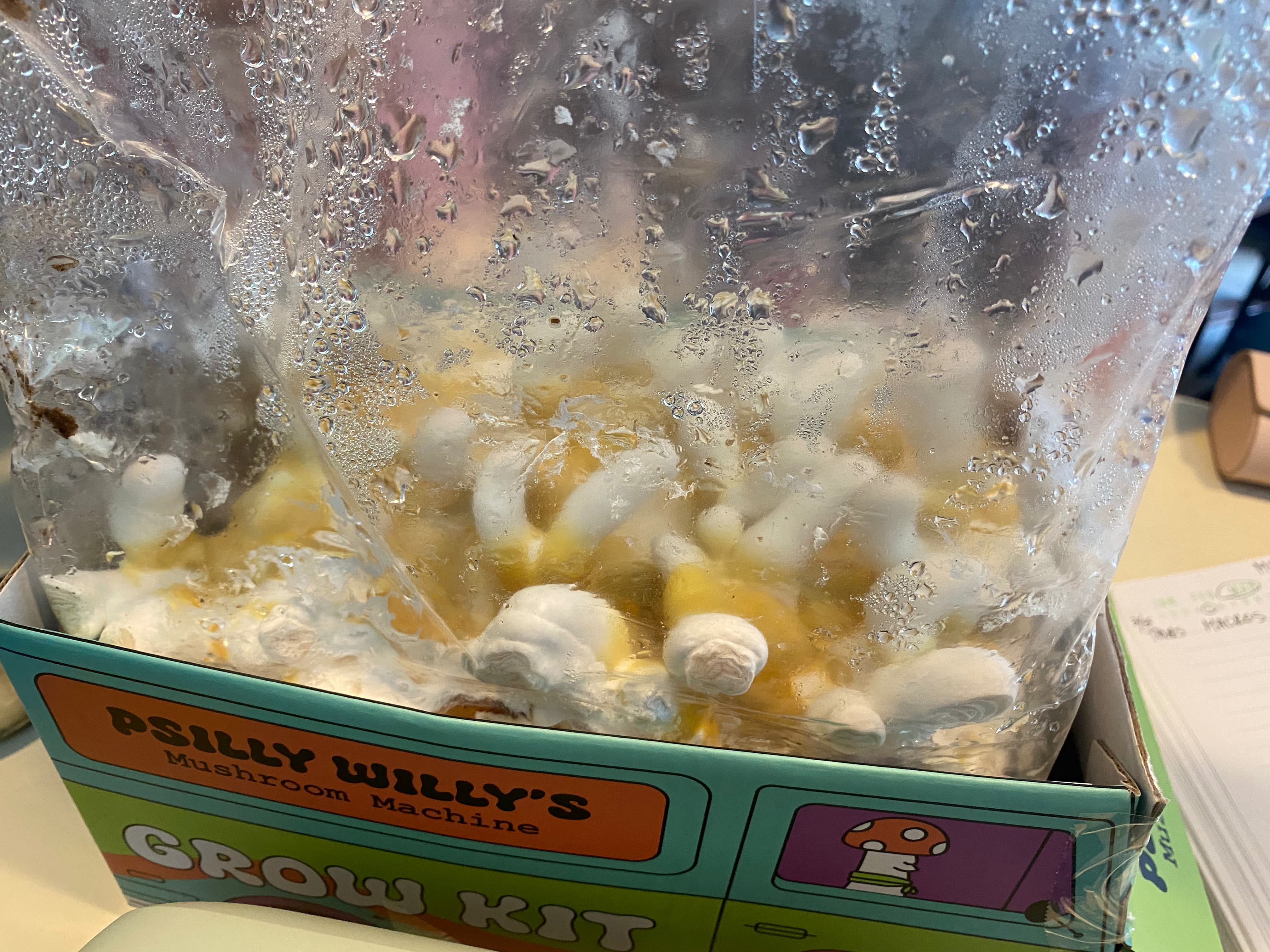 how do you grow mushrooms