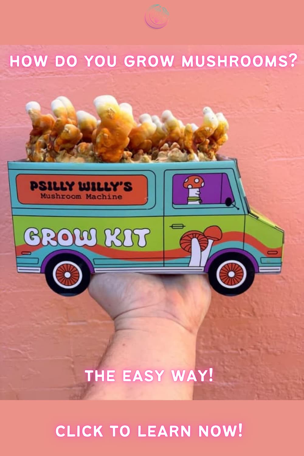 how do you grow mushrooms