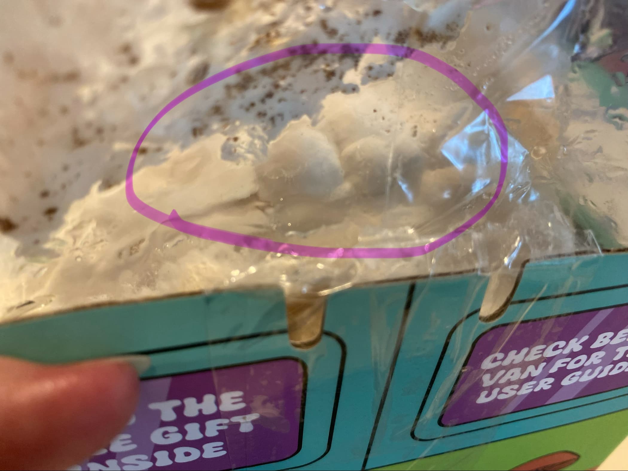 how do you grow mushrooms