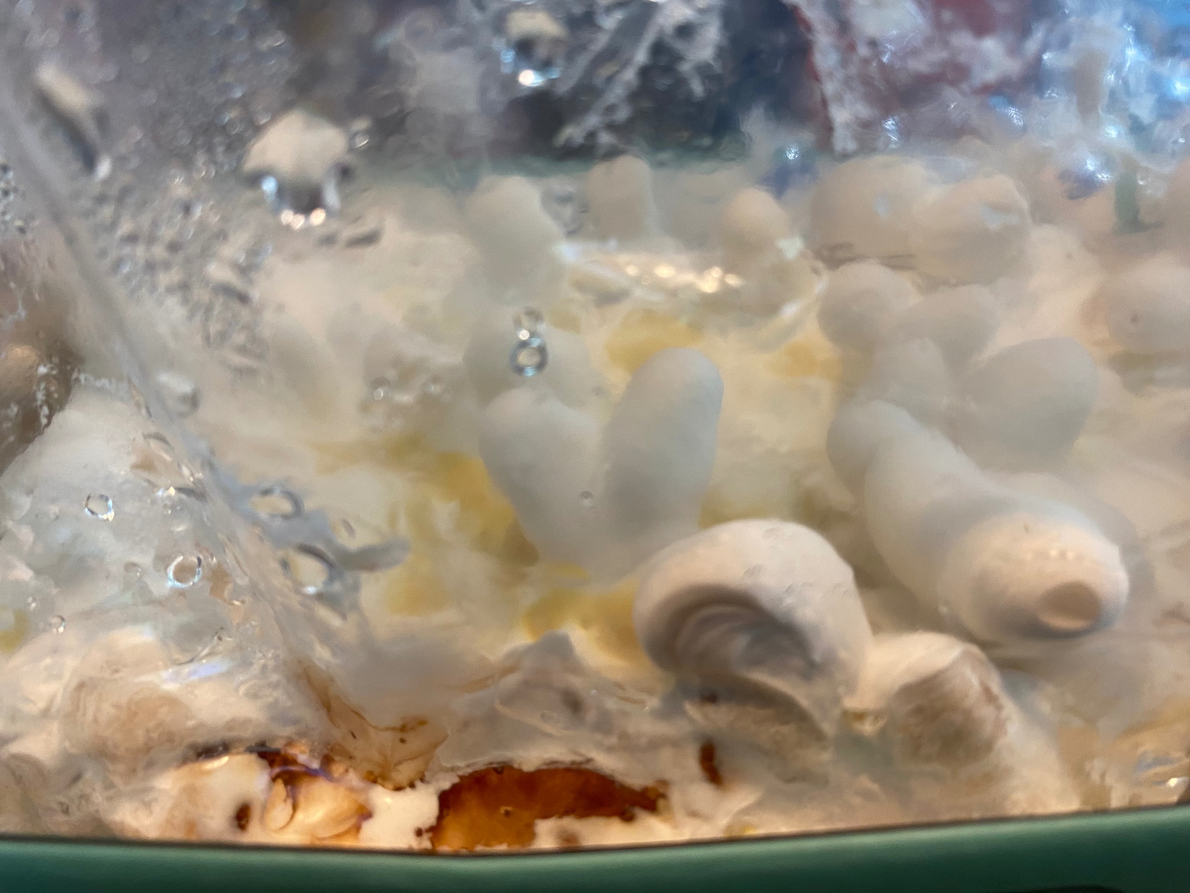 how do you grow mushrooms