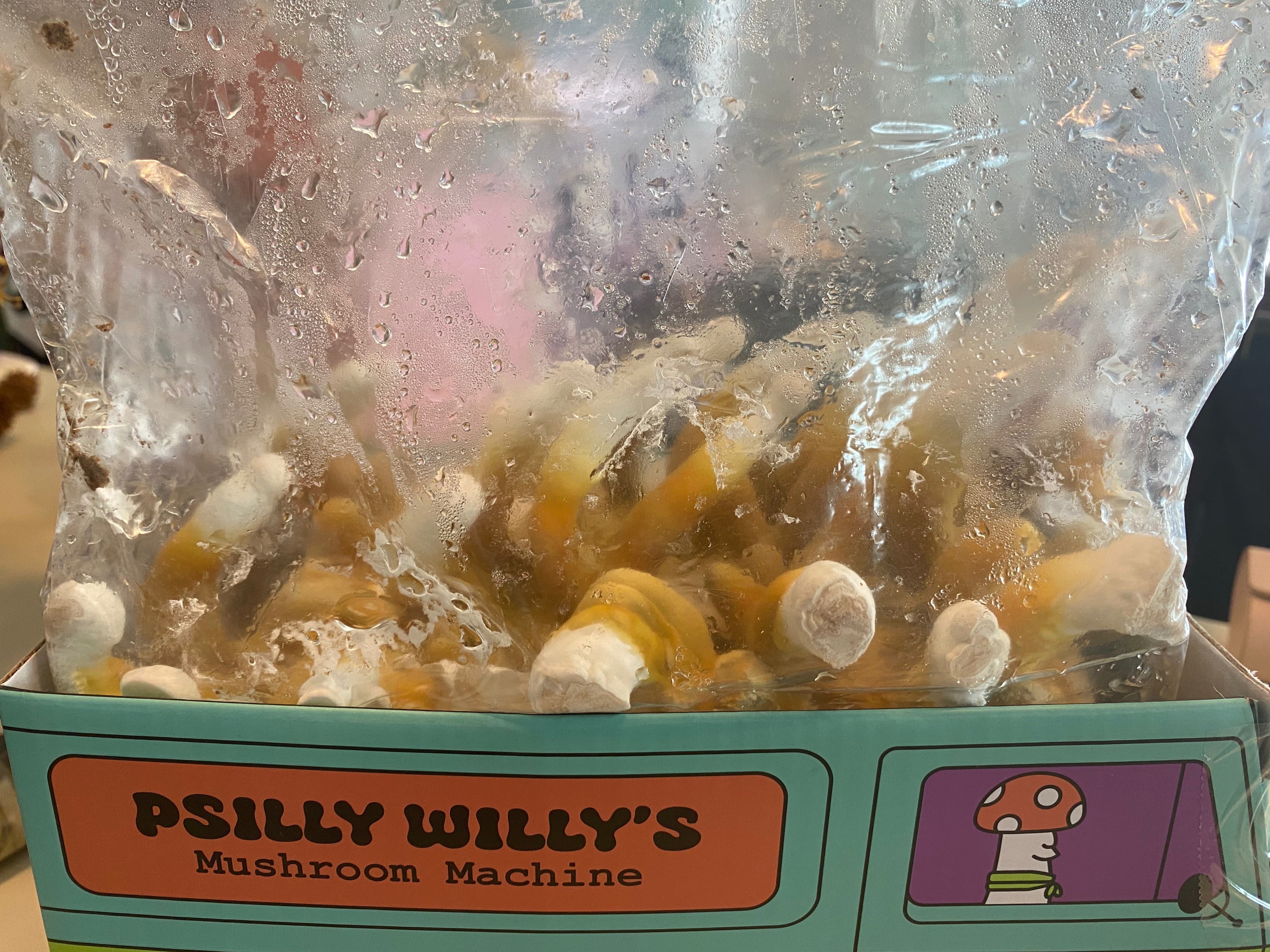 how do you grow mushrooms