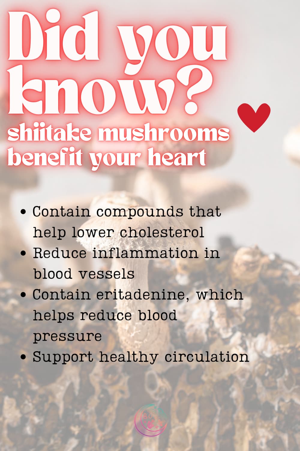 how to cook shiitake mushrooms