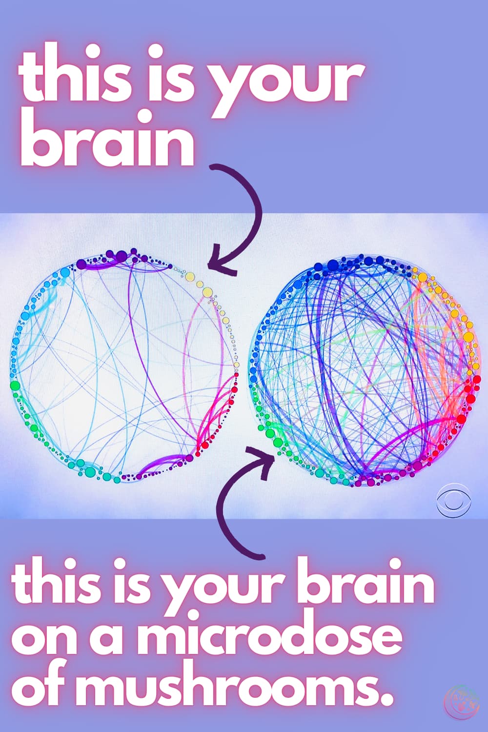 does microdosing mushrooms give you energy does microdosing mushrooms give you energy