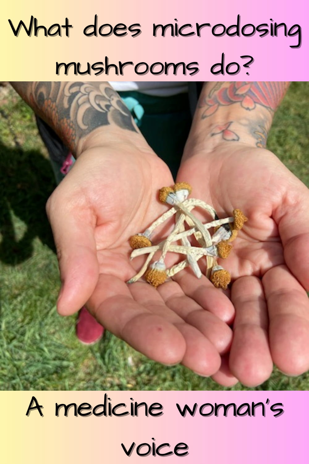 What does microdosing mushrooms do? 